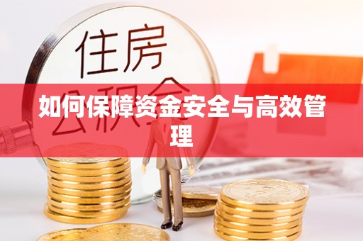 湟源如何保障资金安全与高效管理