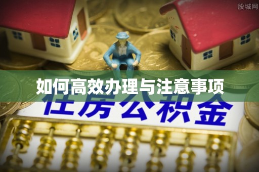 湟源如何高效办理与注意事项
