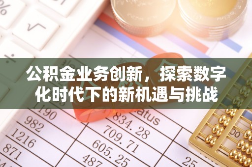 湟源公积金业务创新，探索数字化时代下的新机遇与挑战