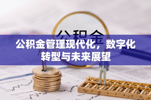 湟源公积金管理现代化，数字化转型与未来展望