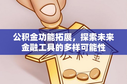 湟源公积金功能拓展，探索未来金融工具的多样可能性