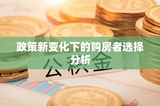 湟源政策新变化下的购房者选择分析