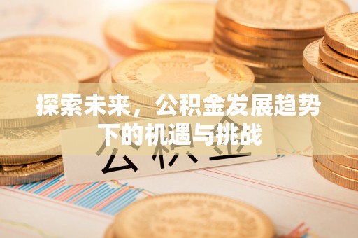 湟源探索未来，公积金发展趋势下的机遇与挑战