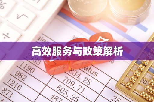 湟源高效服务与政策解析