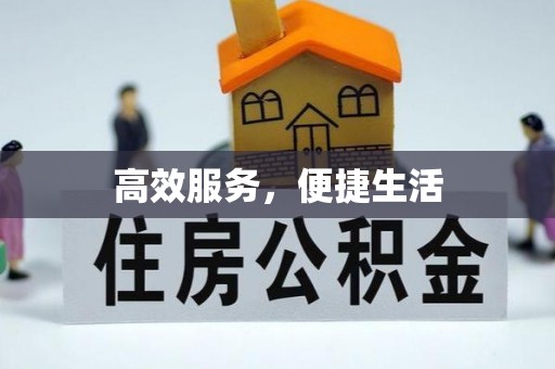 湟源高效服务，便捷生活