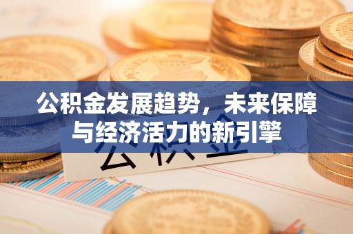 湟源公积金发展趋势，未来保障与经济活力的新引擎