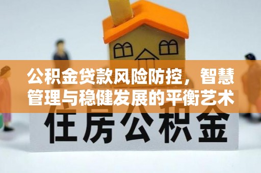 湟源公积金贷款风险防控，智慧管理与稳健发展的平衡艺术