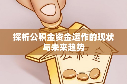 湟源探析公积金资金运作的现状与未来趋势
