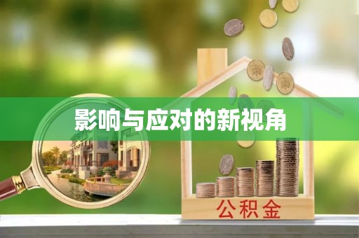 湟源影响与应对的新视角