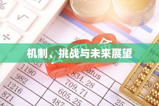 湟源机制、挑战与未来展望